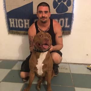 Meet your Posher, Robert